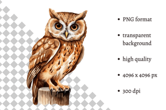 Download Watercolor Owl Illustration - Watercolor Collection