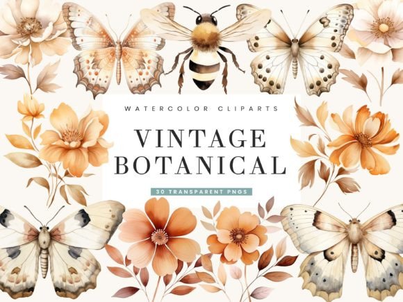 Download Watercolor Vintage Botanical Clipart - Watercolor Collection