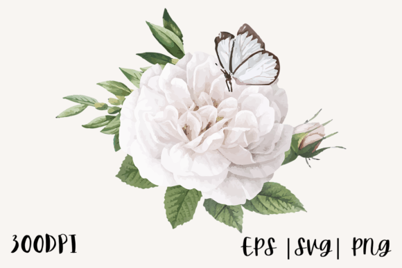 Download Decorative Watercolor Rose Illustration - Watercolor Collection
