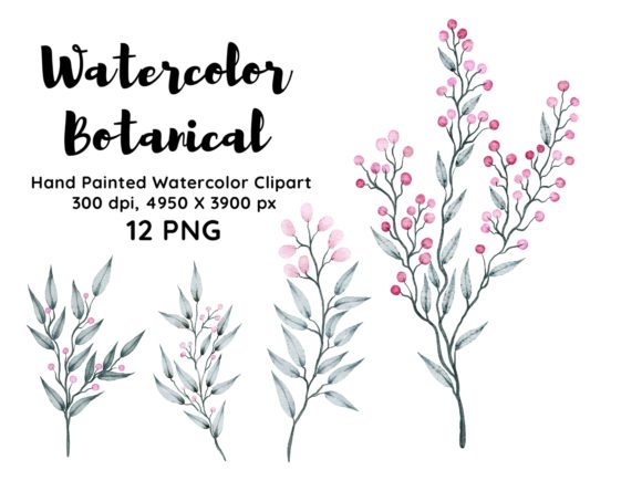 Download Watercolor Botanical Clipart PNG - Watercolor Collection
