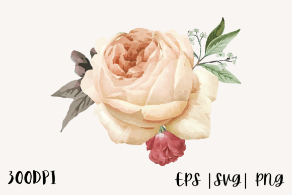 Download Decorative Watercolor Rose Illustration - Watercolor Collection