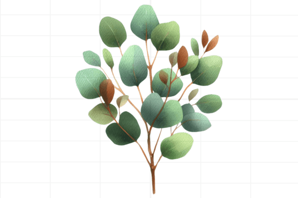 Download Eucalyptus Clipart. Watercolor Greenery - Watercolor Collection