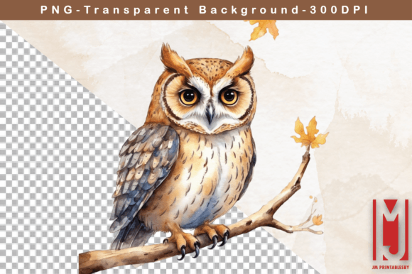 Download Watercolor Owl Clipart - Watercolor Collection