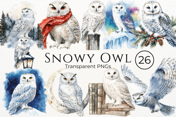 Download Snowy Owl Watercolor Clipart - Watercolor Collection