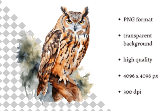 Download Watercolor Owl Illustration - Watercolor Collection
