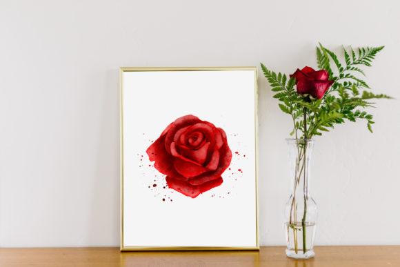 Download Red Rose Watercolor Illustration PNG - Watercolor Collection