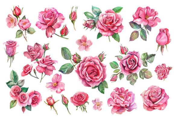 Download Romantic Watercolor Roses Flowers Png - Flowers Collection
