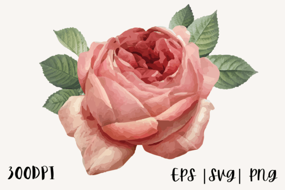Download Decorative Watercolor Rose Illustration - Watercolor Collection