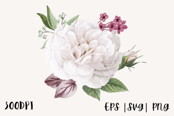 Download White Watercolor Rose Illustration Png - Watercolor Collection