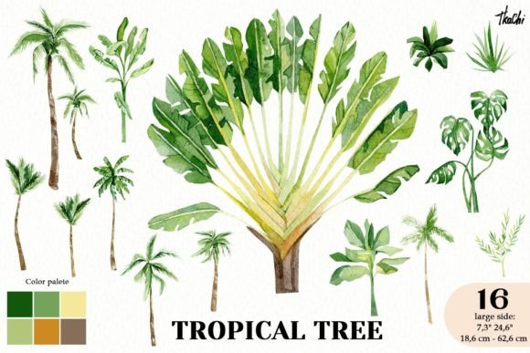 Download Watercolor Summer Tropical Tree Clipart - Watercolor Collection