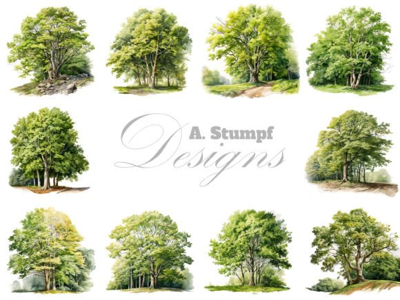 Download Beech Tree Watercolor Botanical Clipart - Watercolor Collection