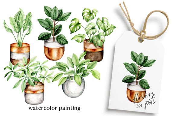Download Flowers in Pots, Watercolor Painting. - Flowers Collection