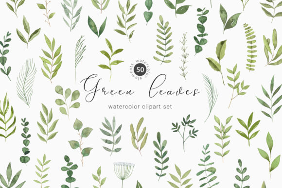 Download Watercolor Greenery Botanical Clipart - Watercolor Collection