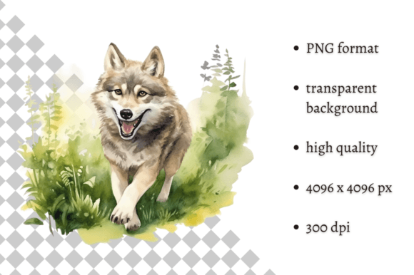 Download Watercolor Wolf PNG Illustration - Watercolor Collection