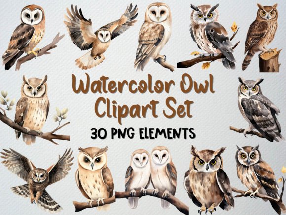 Download Watercolor Owl Clipart Set, 30 PNG - Watercolor Collection