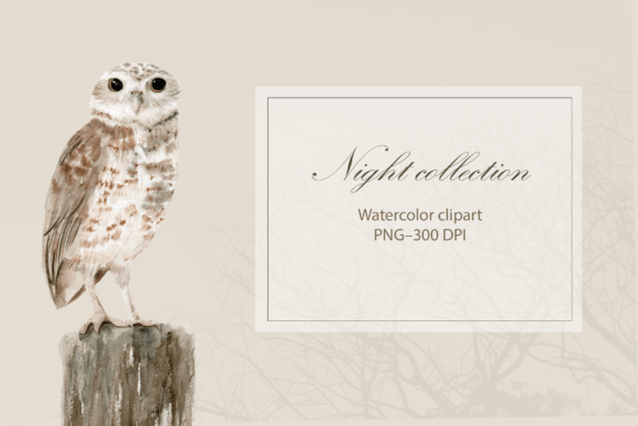 Download Watercolor Owl Clipart - Watercolor Collection