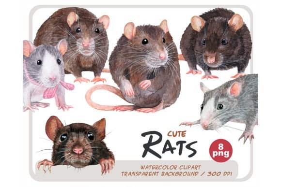 Download Watercolor Realistic Rats Clipart Set - Watercolor Collection
