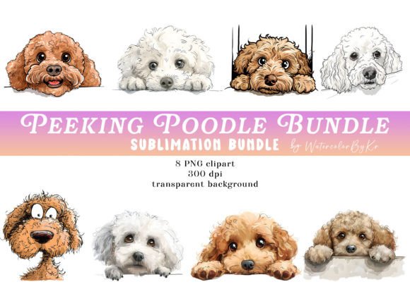 Download Watercolor Peeking Poodle Dog Bundle - Watercolor Collection