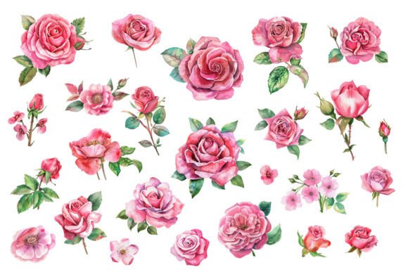 Download Romantic Watercolor Roses Flowers Png - Flowers Collection