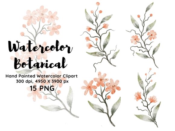 Download Watercolor Botanical Clipart PNG - Watercolor Collection