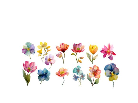 Download Romantic Watercolor Flowers - Flowers Collection