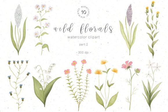 Download Watercolor Wildflower Botanical Clipart - Watercolor Collection
