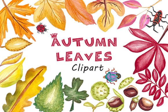 Download Watercolor Autumn Leaves Clipart - Watercolor Collection