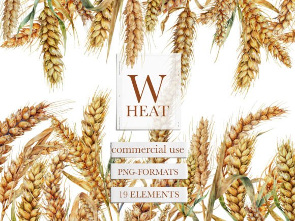 Download Wheat Watercolor Clipart, Wheat Clipart - Watercolor Collection