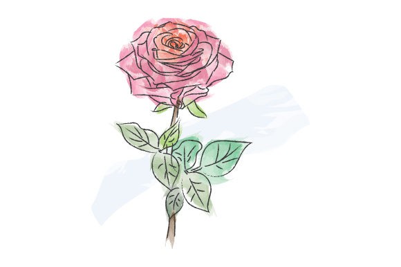 Download Watercolor Rose Design Illustration - Watercolor Collection