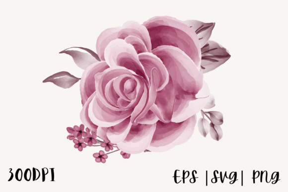 Download Watercolor Rose Illustration Png - Watercolor Collection