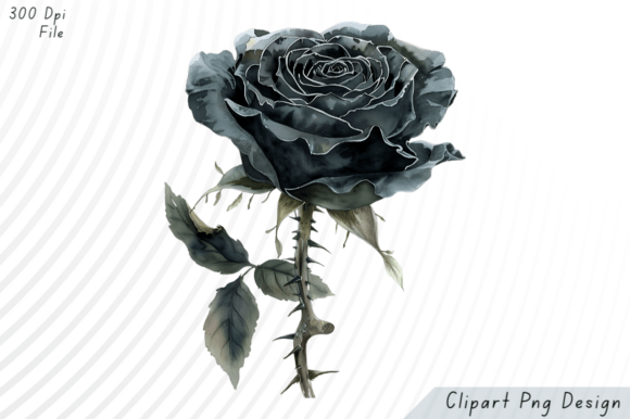 Download Black Rose Watercolor PNG Clipart - Watercolor Collection